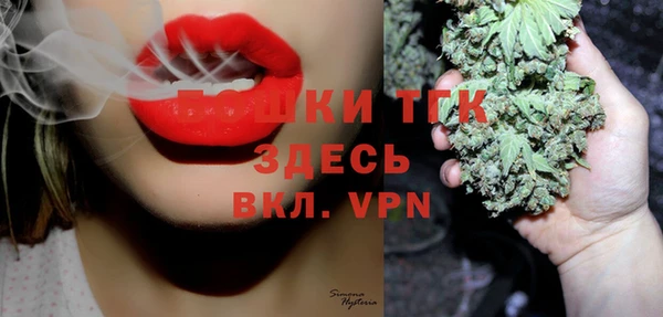 хмурый Арсеньев