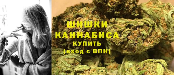 хмурый Арсеньев