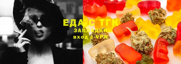 хмурый Арсеньев