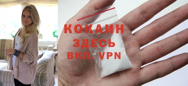 хмурый Арсеньев