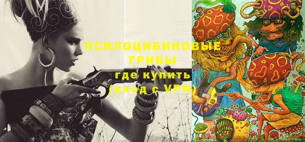 хмурый Арсеньев