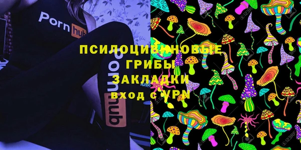 хмурый Арсеньев