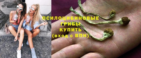 хмурый Арсеньев