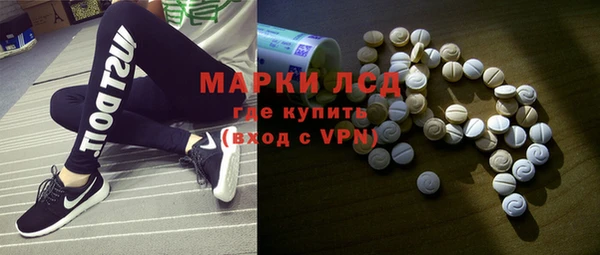 хмурый Арсеньев
