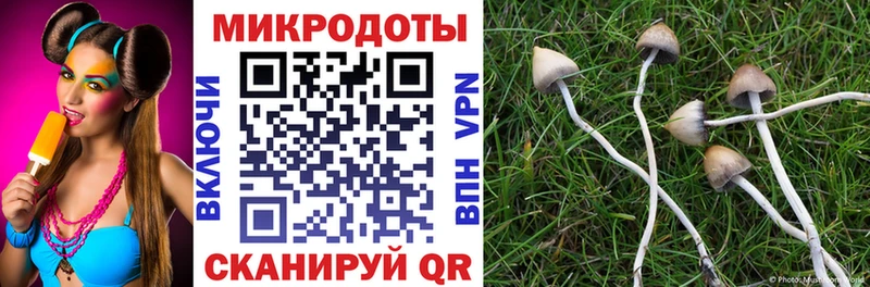как найти закладки  Малоархангельск  Псилоцибиновые грибы мухоморы 